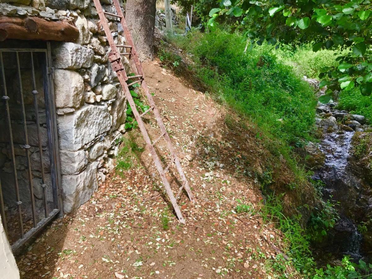 Maison d'hôtes U Fragnu à Omessa Extérieur photo
