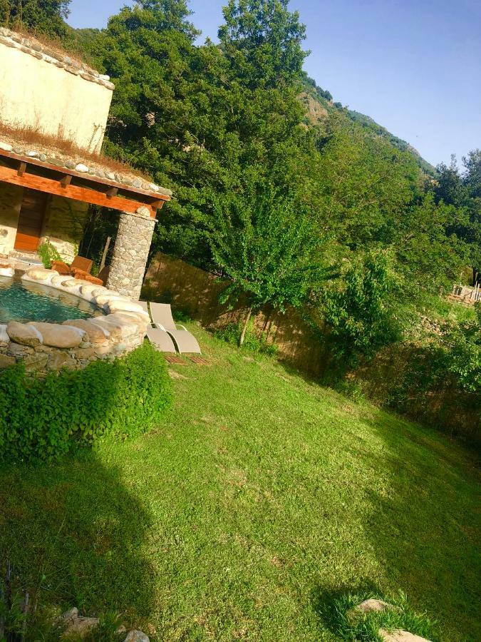 Maison d'hôtes U Fragnu à Omessa Extérieur photo